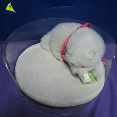 Köpek ve Kediler Akrilik Yemek Odası Sandalyeleri İçin Akrilik Pet Yatak Mağara Evi