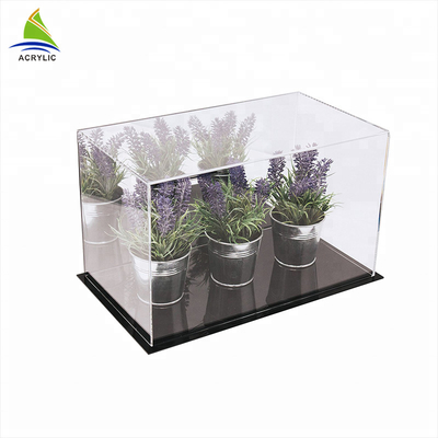 Kare Modern Akrilik Vitrin Ekran Akrilik Houseplant Kutusu Düzlük