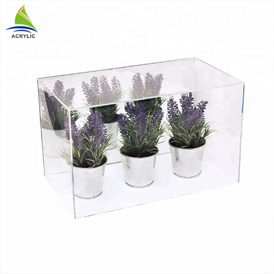 Kare Modern Akrilik Vitrin Ekran Akrilik Houseplant Kutusu Düzlük