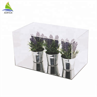 Kare Modern Akrilik Vitrin Ekran Akrilik Houseplant Kutusu Düzlük